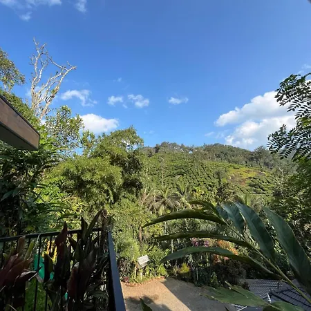 Lush Acres Villa Thekkady Exterior photo