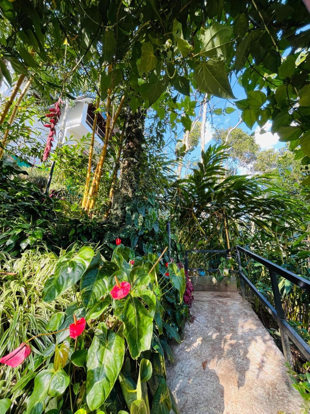 Farm stay Lush Acres