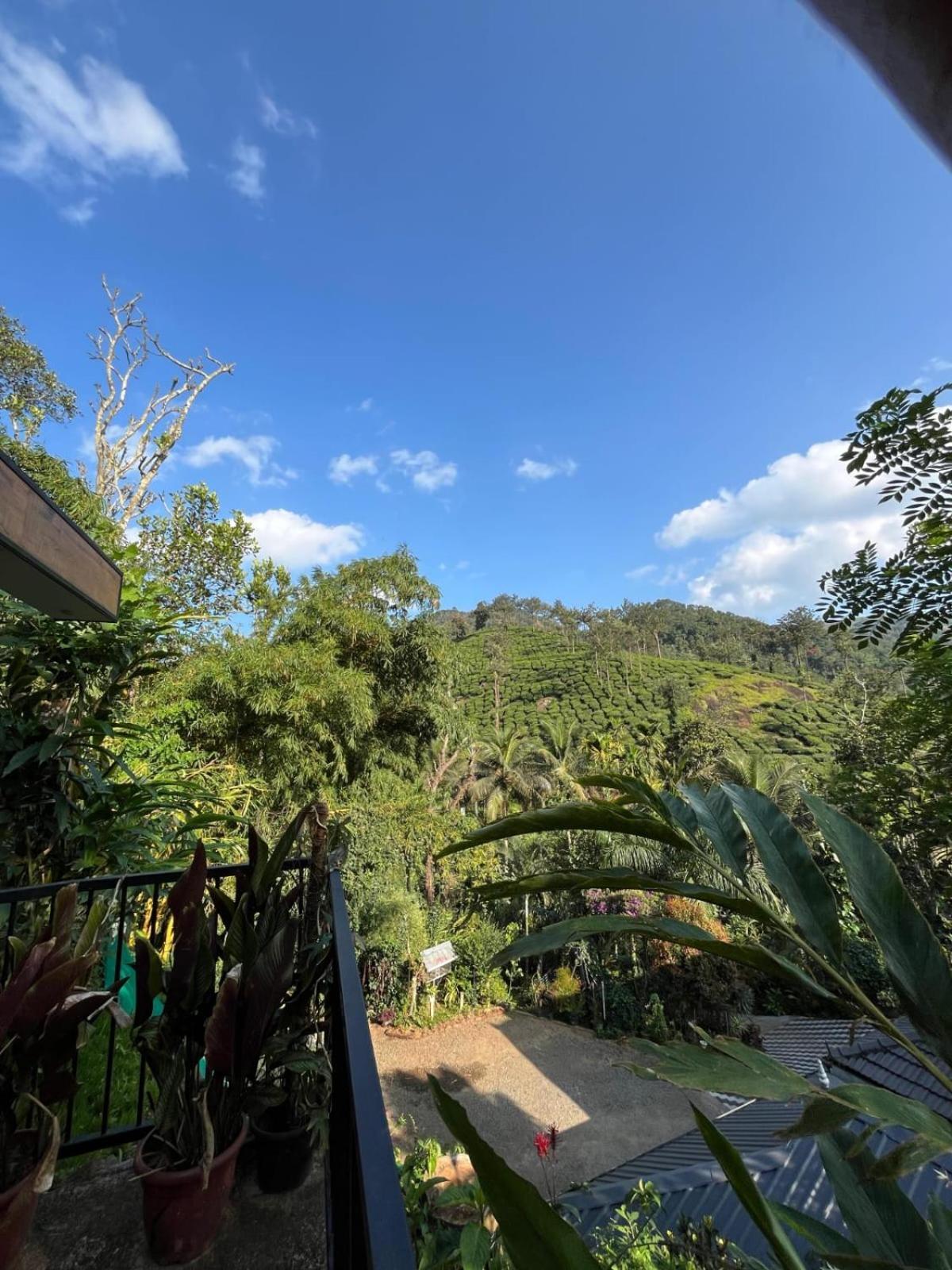 Lush Acres