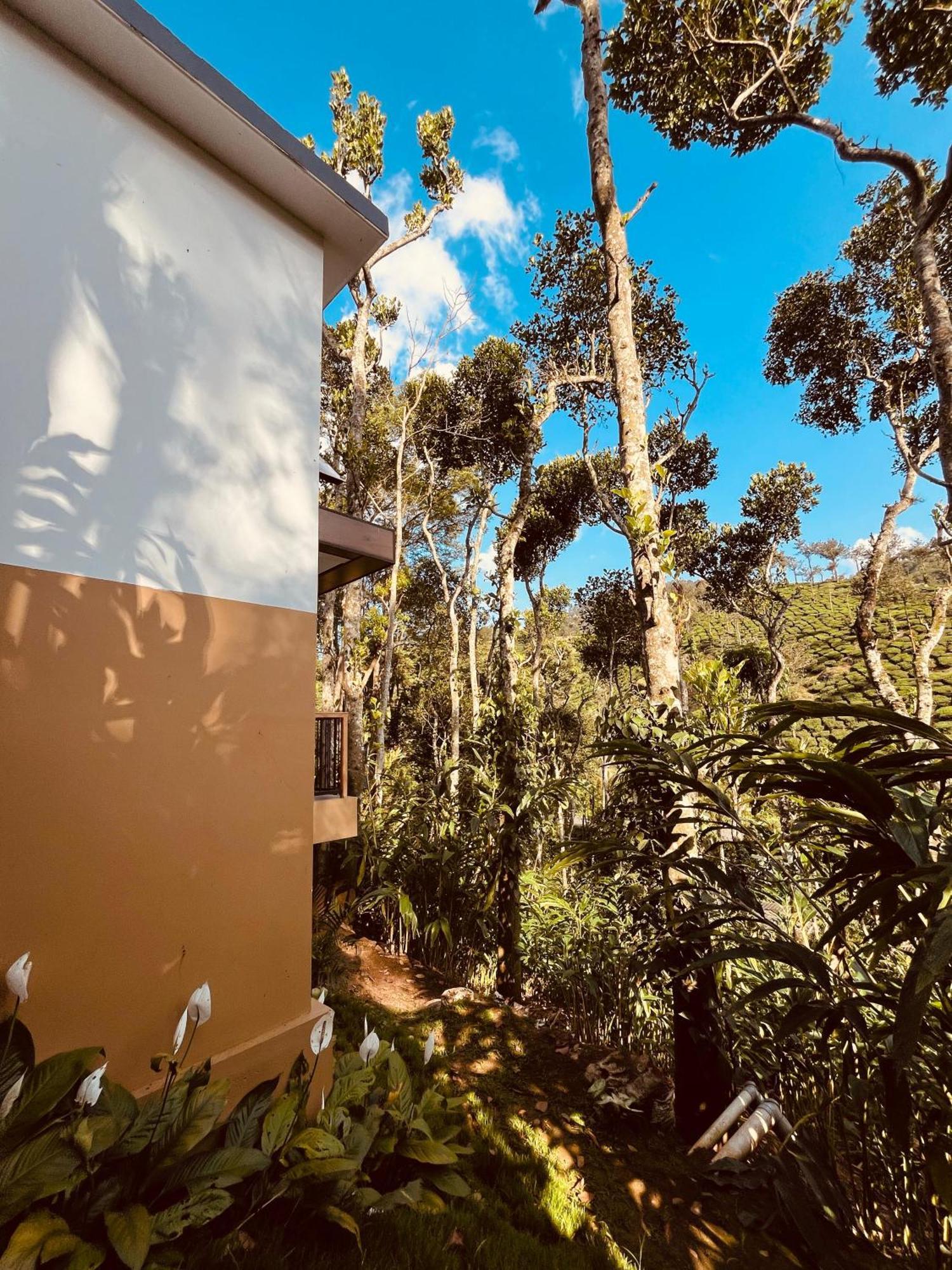 Farm stay Lush Acres Thekkady
