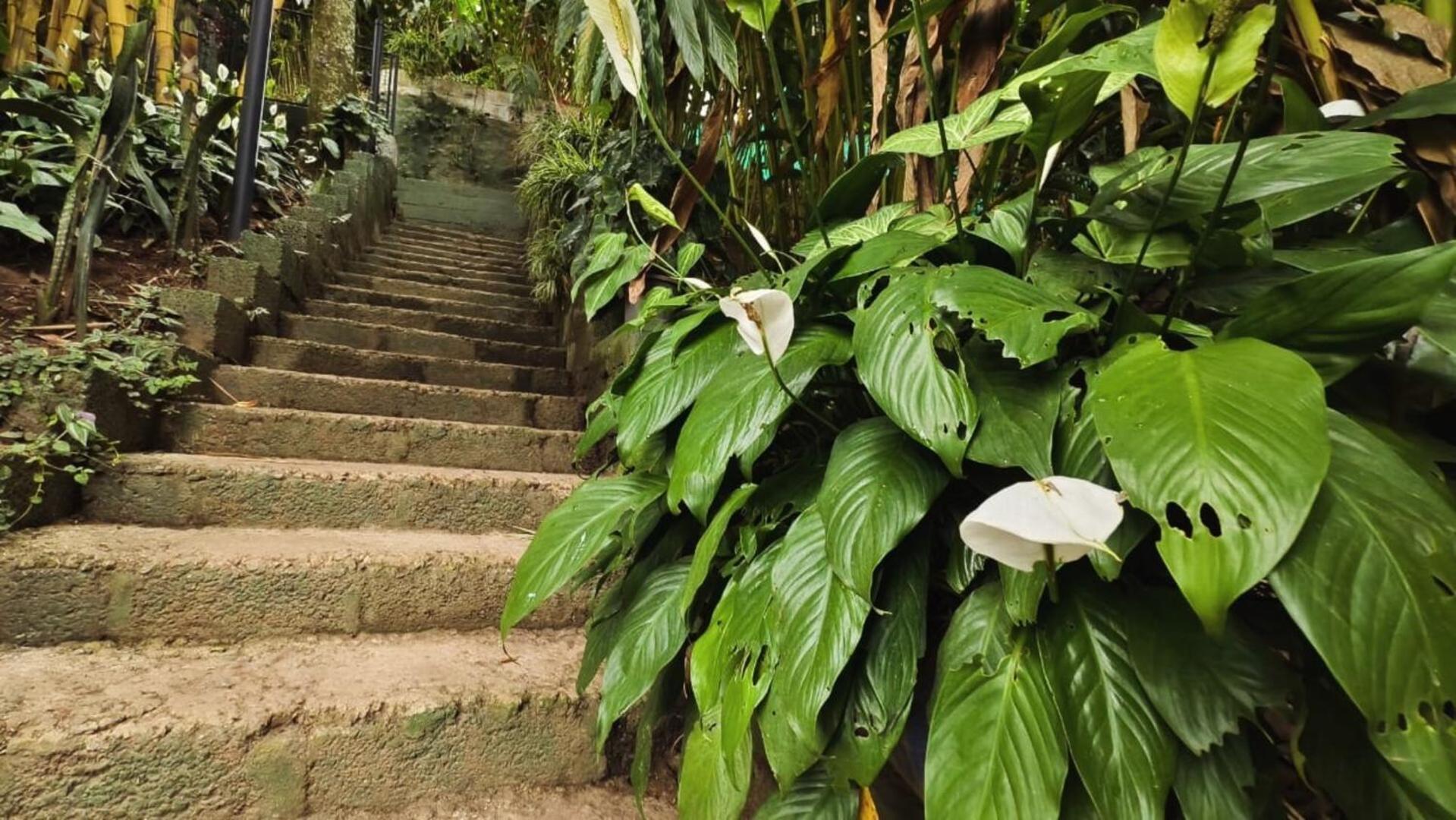 Lush Acres Thekkady